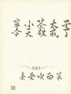 宁小茶太子殿下今天破戒了吗免费阅读