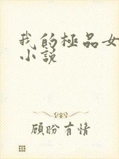 我的极品女老师小说