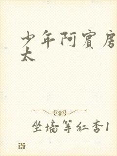 少年阿宾房东太太