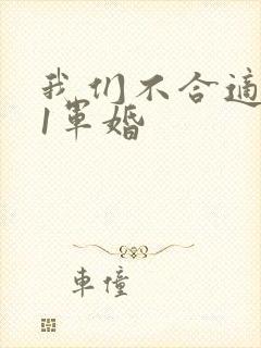 我们不合适1v1军婚