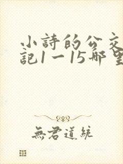 小诗的公交车日记1一15哪里能看