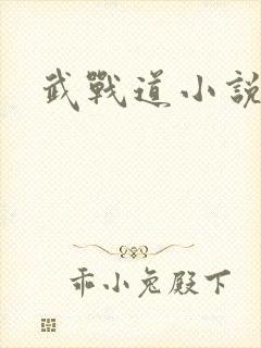 武战道小说