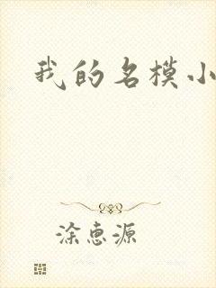 我的名模小娇妻