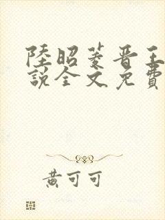 陆昭菱晋王的小说全文免费阅读