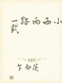 一路向西小说下载