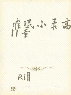 催眠小柔高达第11章