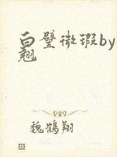 白璧微瑕by连翘