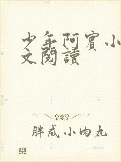 少年阿宾小说全文阅读