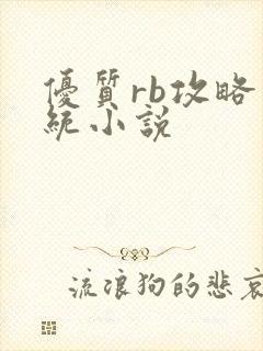 优质rb攻略系统小说