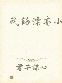 我的漂亮小后妈