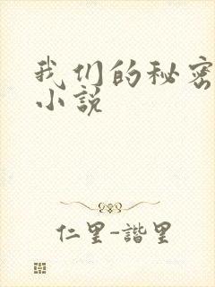我们的秘密泰剧小说