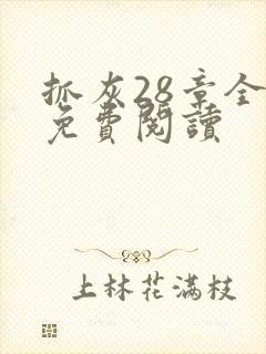 抓灰28章全部免费阅读