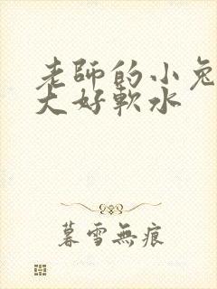 老师的小兔子好大好软水