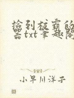 捡到校霸的遥控器txt笔趣阁