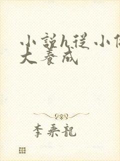 小说h从小做到大养成