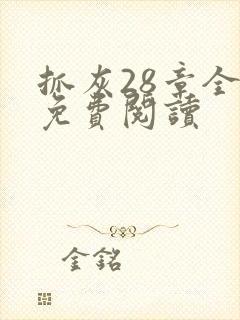 抓灰28章全部免费阅读