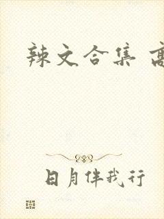 辣文合集 高h