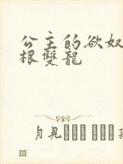 公主的欲奴h四根双龙