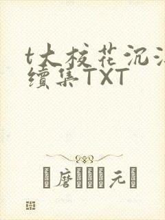 t大校花沉浮录续集TXT