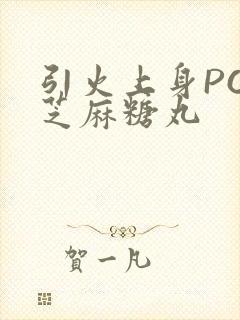 引火上身POP芝麻糖丸