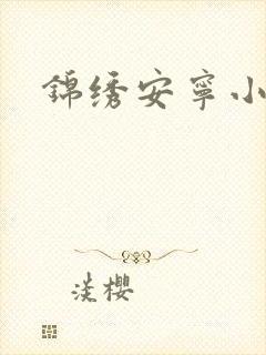 锦绣安宁小说