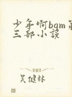 少年啊bgm第三部小说