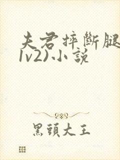 夫君摔断腿后(1v2)小说