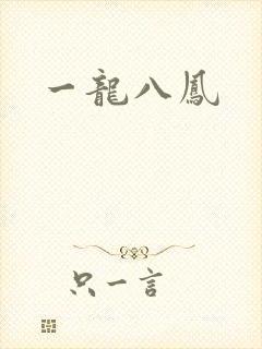 一龙八凤封面
