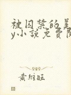 被囚禁的美人by小说免费阅读