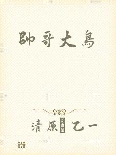 帅哥大鸟