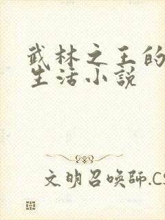 武林之王的退隐生活小说