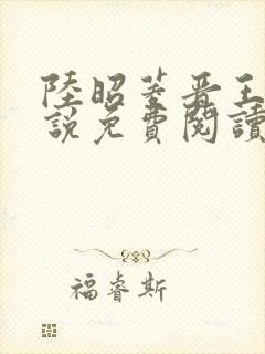 陆昭菱晋王的小说免费阅读