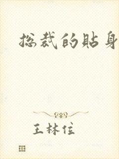 总裁的贴身女佣封面