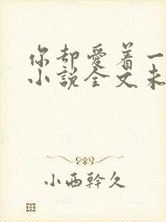 你却爱着一个他小说全文未删减免费