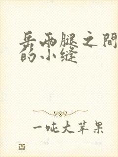 岳两腿之间白嫩的小缝