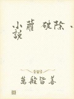 小萝 破除 小说