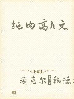 纯肉高h文