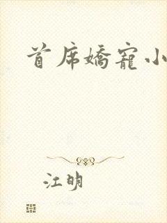 首席娇宠小情人