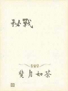 秘战