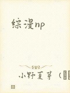 综漫np