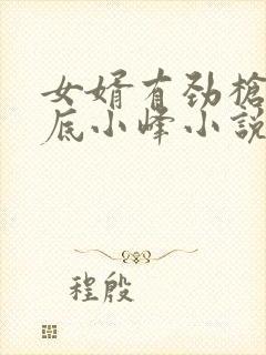 女婿有劲枪枪到底小峰小说