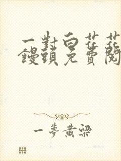 一对白花花的大馒头免费阅读