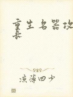 重生名器攻略兄长