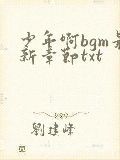 少年啊bgm最新章节txt