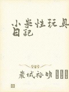小米性玩具羞辱日记