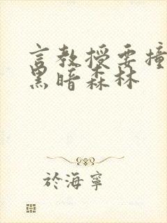 言教授要撞坏了黑暗森林