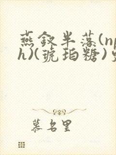 燕钗半落(nph)(琥珀糖)更新