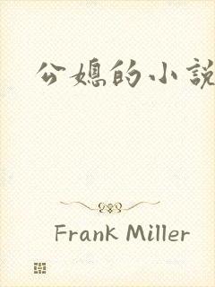 公媳的小说
