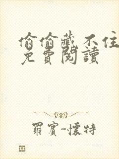 偷偷藏不住小说免费阅读