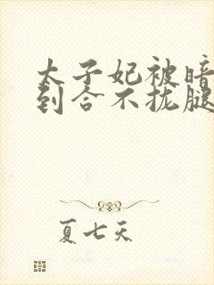 太子妃被暗卫C到合不拢腿